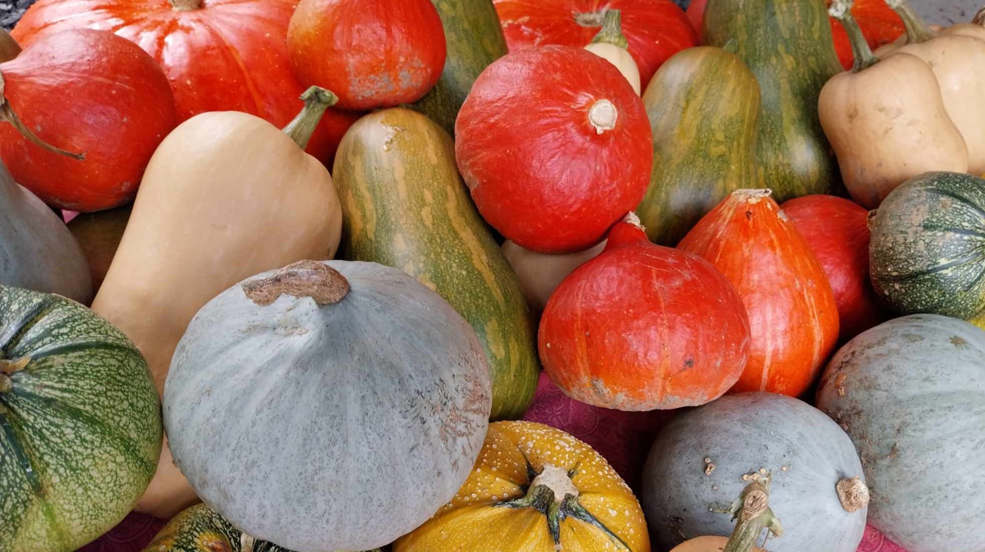 LE JARDIN DE PIEREUMONT