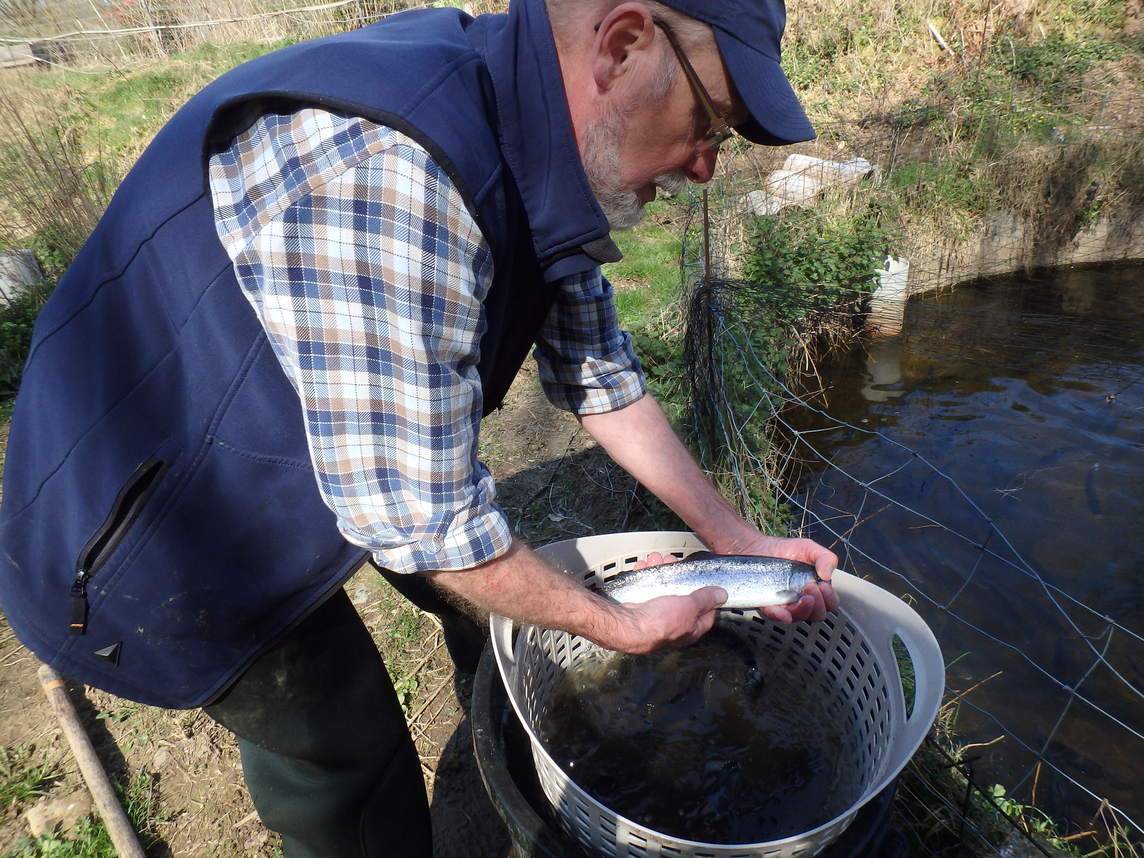 PISCICULTURE DE LA WAMME